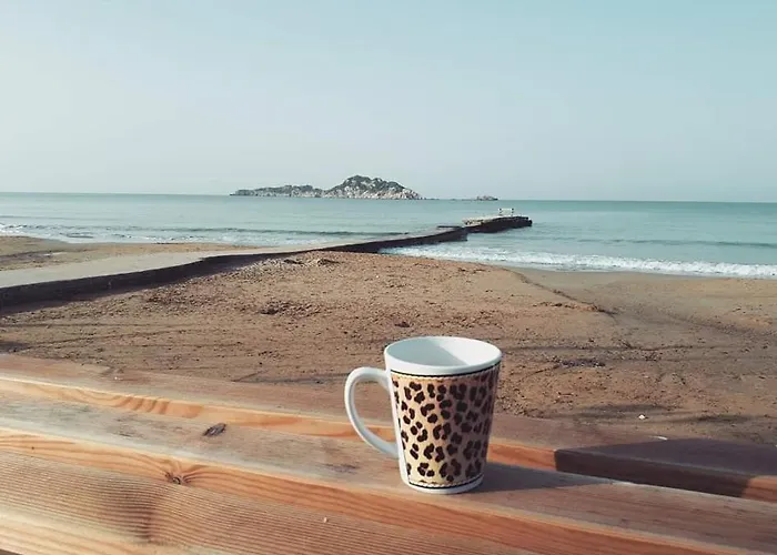 亚历克斯一室公寓及公寓 * 阿里拉斯