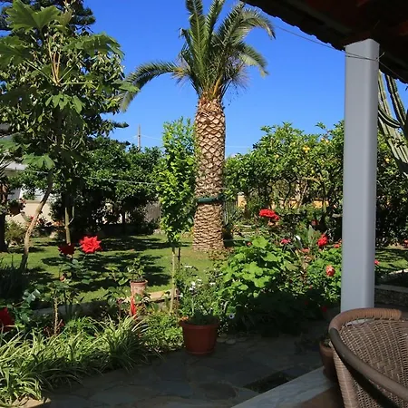 Apartament Alex &