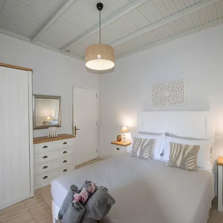Apartament Alex &