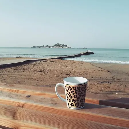 Alex & * أريلاز